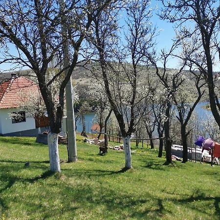 Uvac Griffon Villa Nova Varos Bagian luar foto