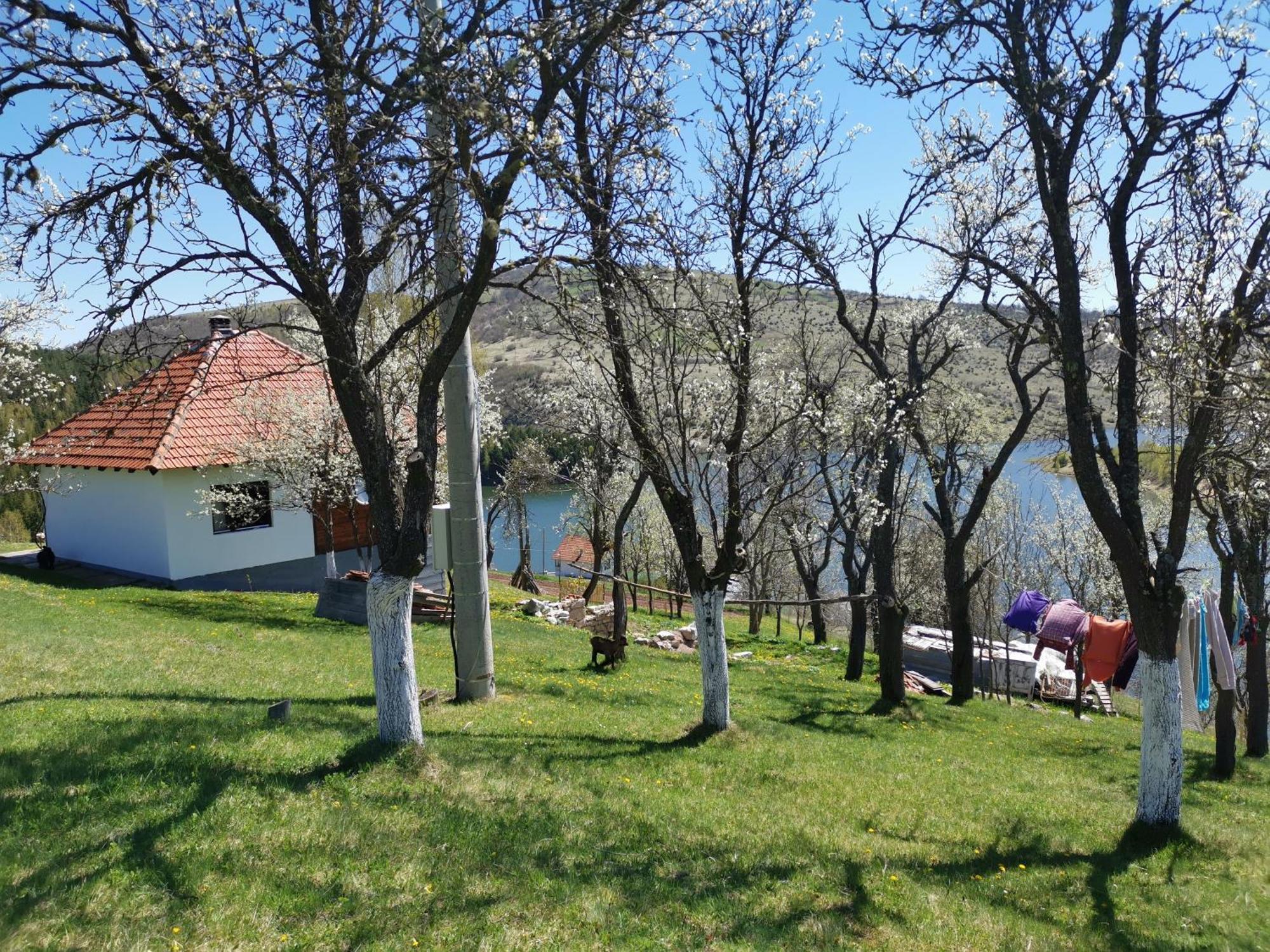 Uvac Griffon Villa Nova Varos Bagian luar foto