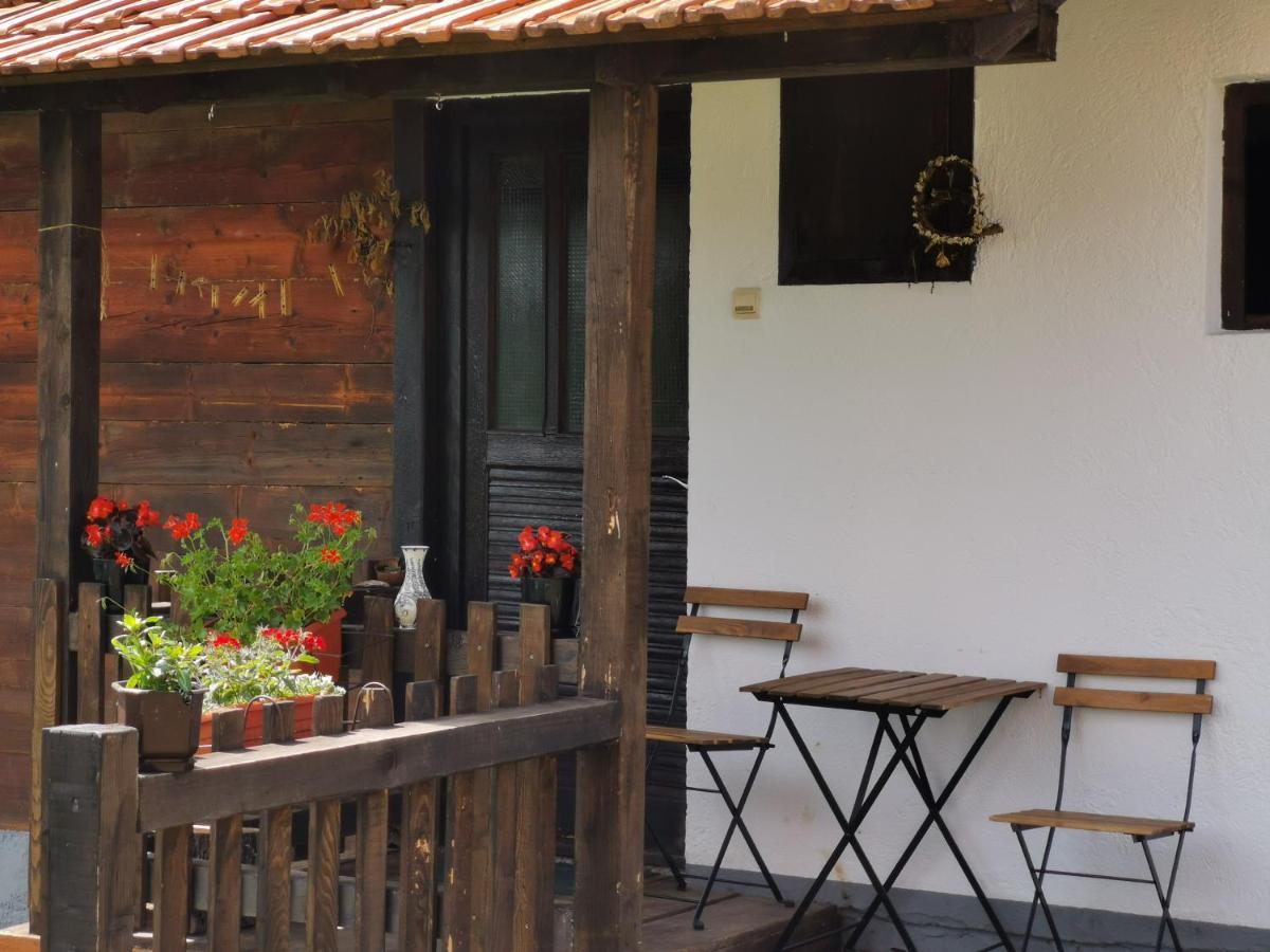 Uvac Griffon Villa Nova Varos Bagian luar foto