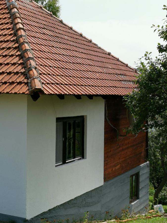 Uvac Griffon Villa Nova Varos Bagian luar foto