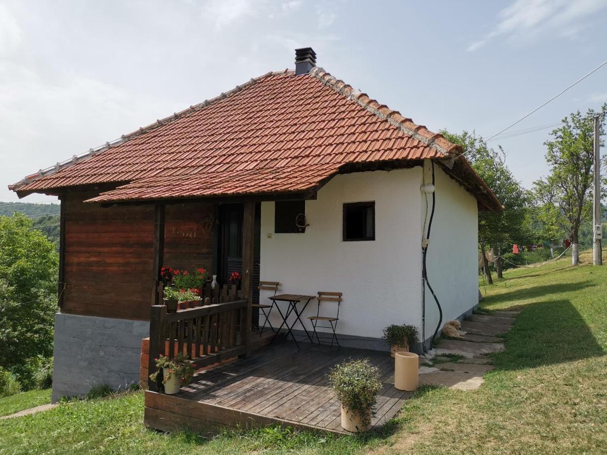 Uvac Griffon Villa Nova Varos Bagian luar foto